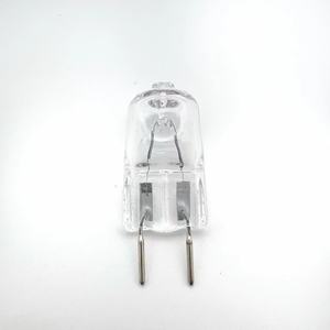 Bombilla de cristal mini G8 25W